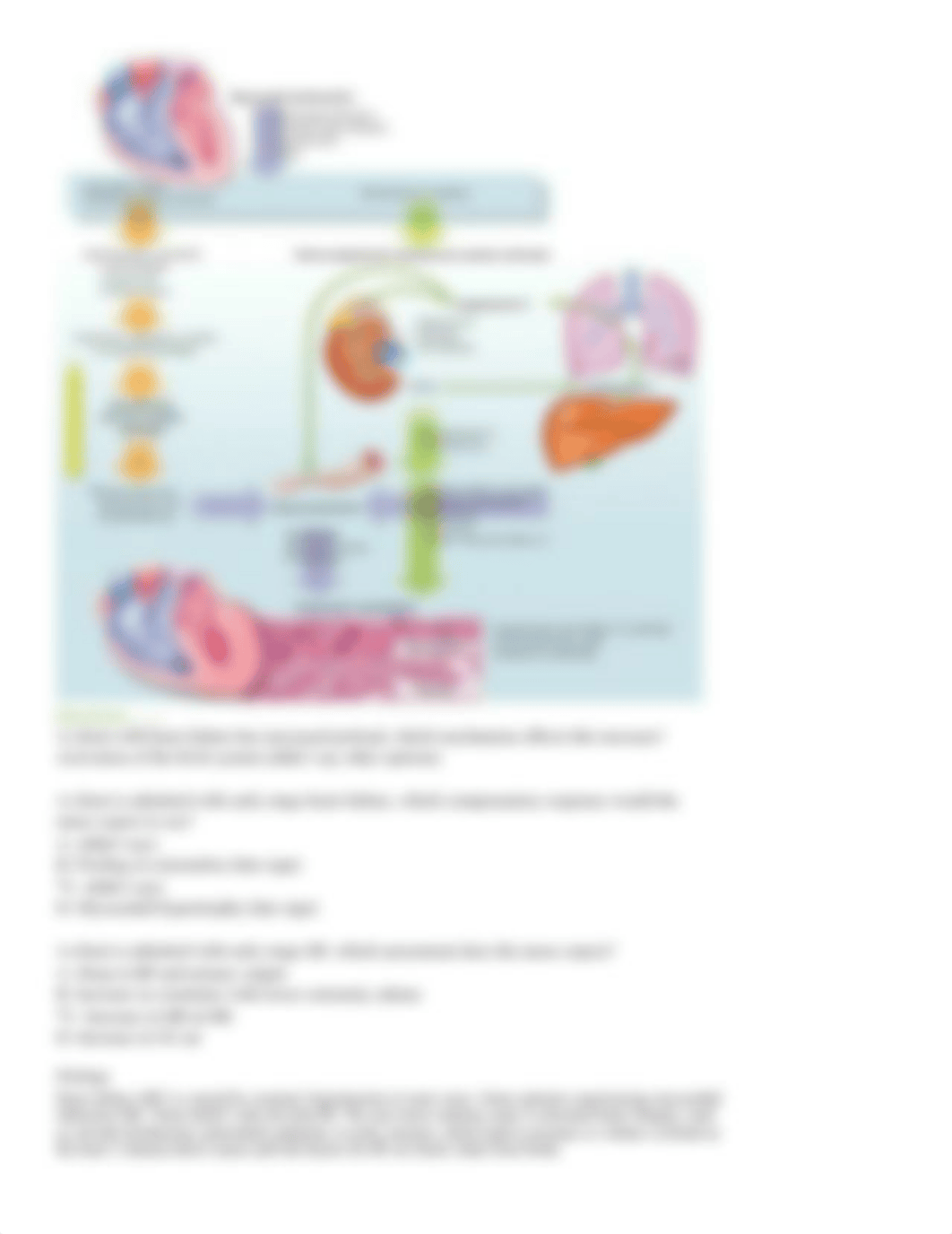 Exam 2 Study guide Chronic cardiac and Respiratory.docx_degpto05di4_page3