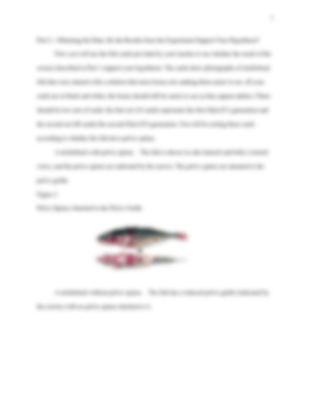 Stickleback Genetics Worksheet.docx_degr36je4iw_page3