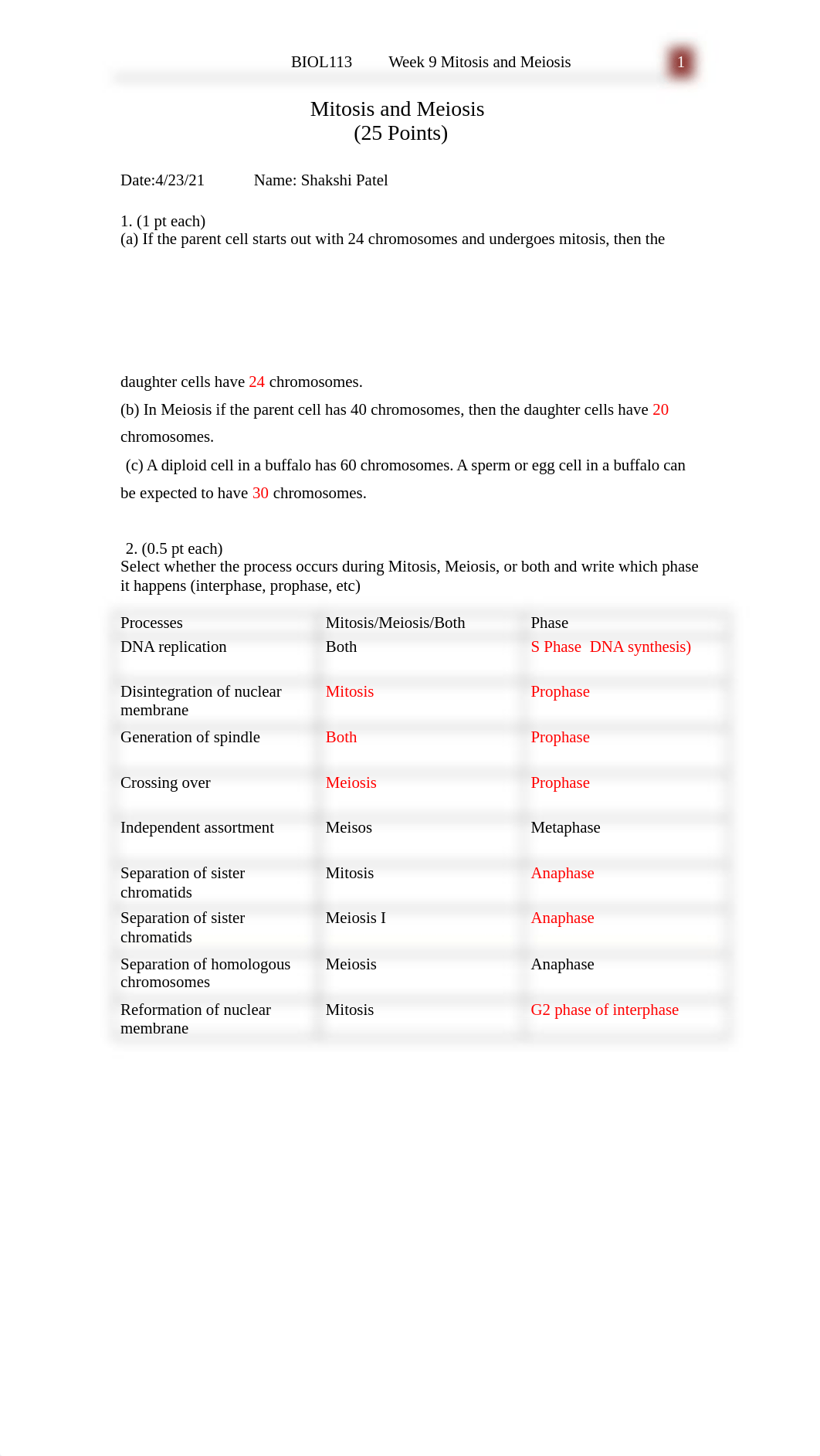 Cell Division Lab Activity.docx_degv3x0fgf2_page1