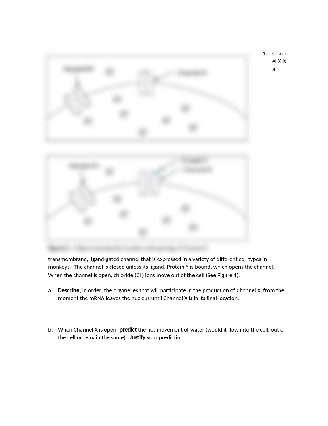 Honors Final Exam 2020.docx_degw90qqodo_page2