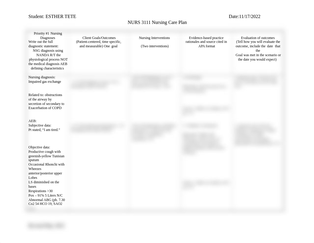 Care Plan COPD.docx_deh00irhr5z_page1