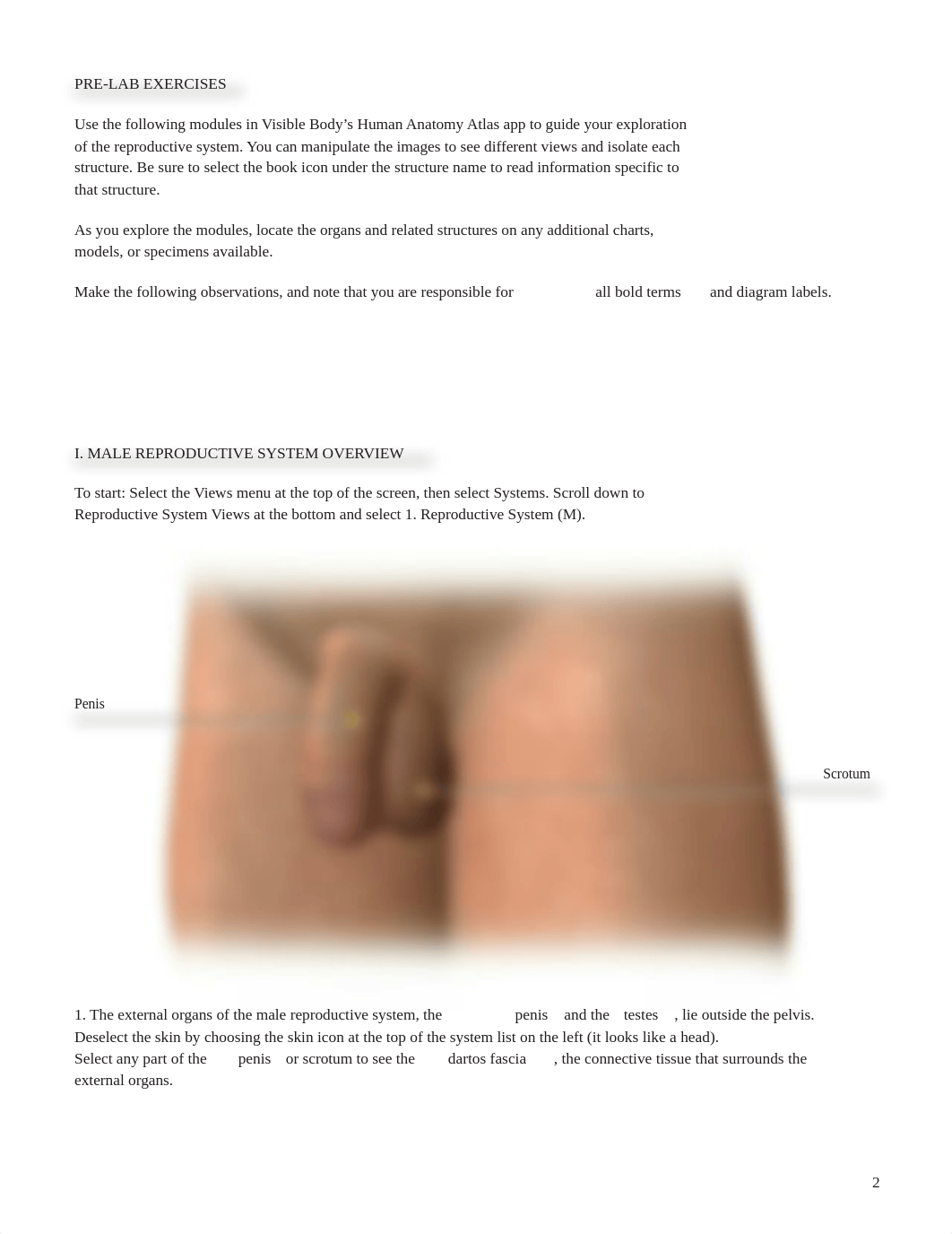 BIO324LabWorksheetMReproductive.pdf_deh1cgl945c_page2