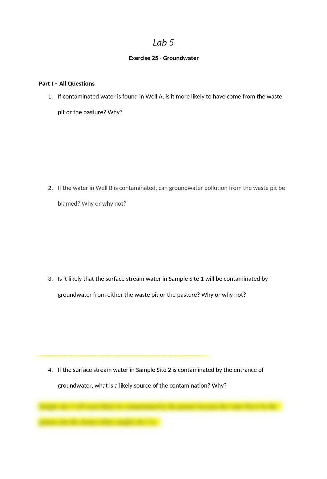 Lab 5.docx_deh577ykkbr_page1