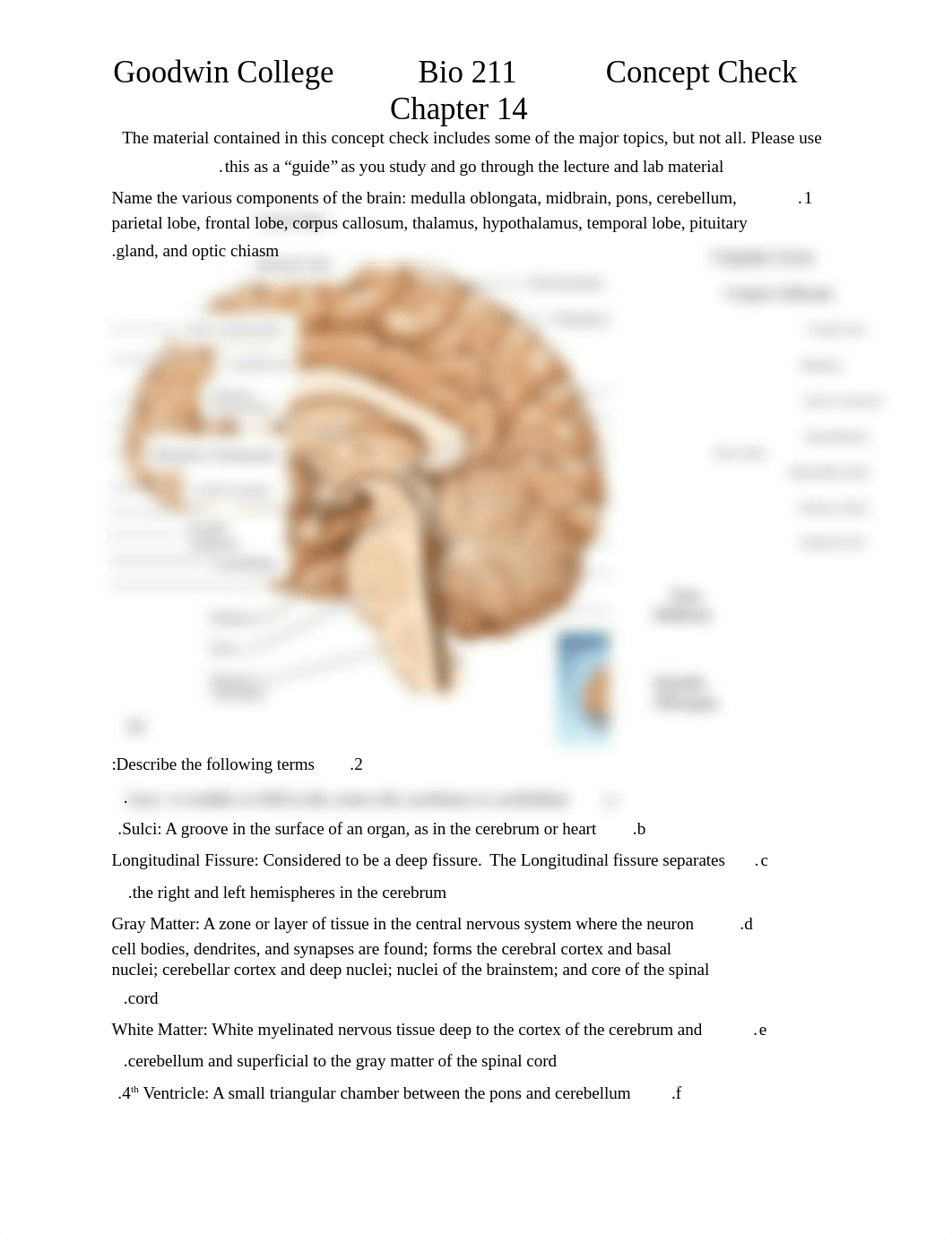 Chapter 14 Concept Check BIO211(1).docx_deha27v6uyb_page1