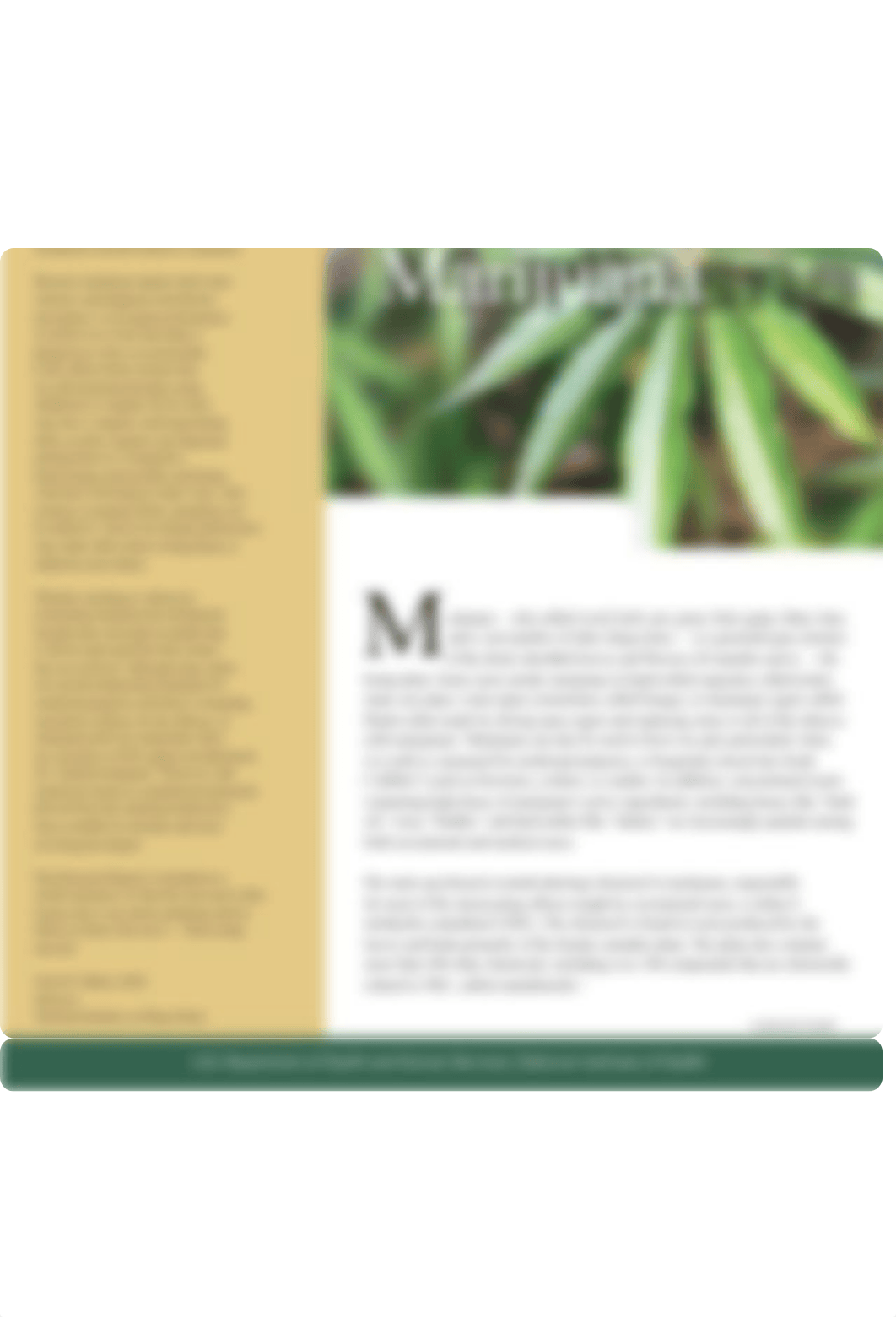 Research-Report-Series-Marijuana-Abuse-293.pdf_dehb0yq0d1r_page1