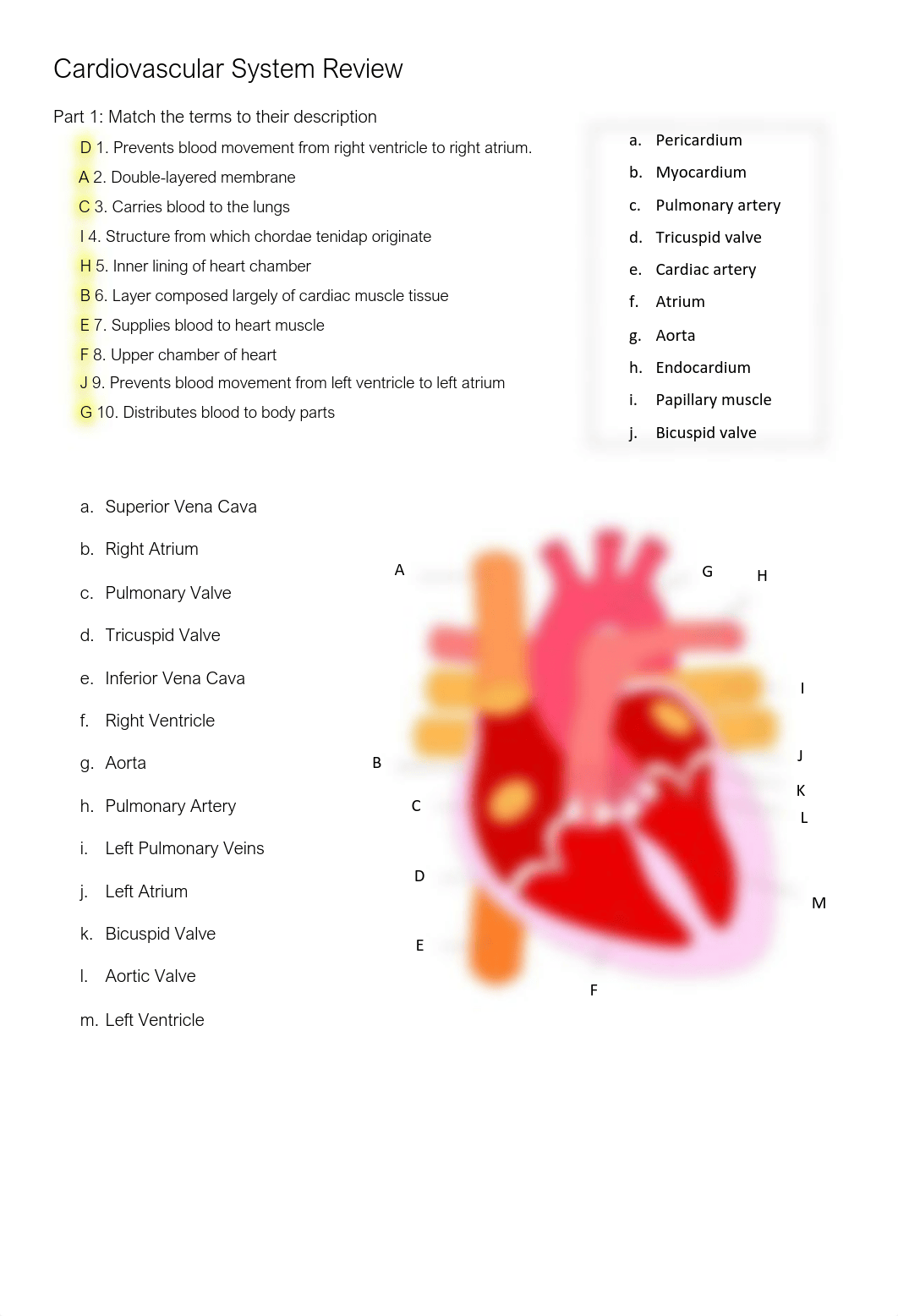 Cardiovascular System Worksheet, Student Version.pdf_dehdrxzfilq_page1