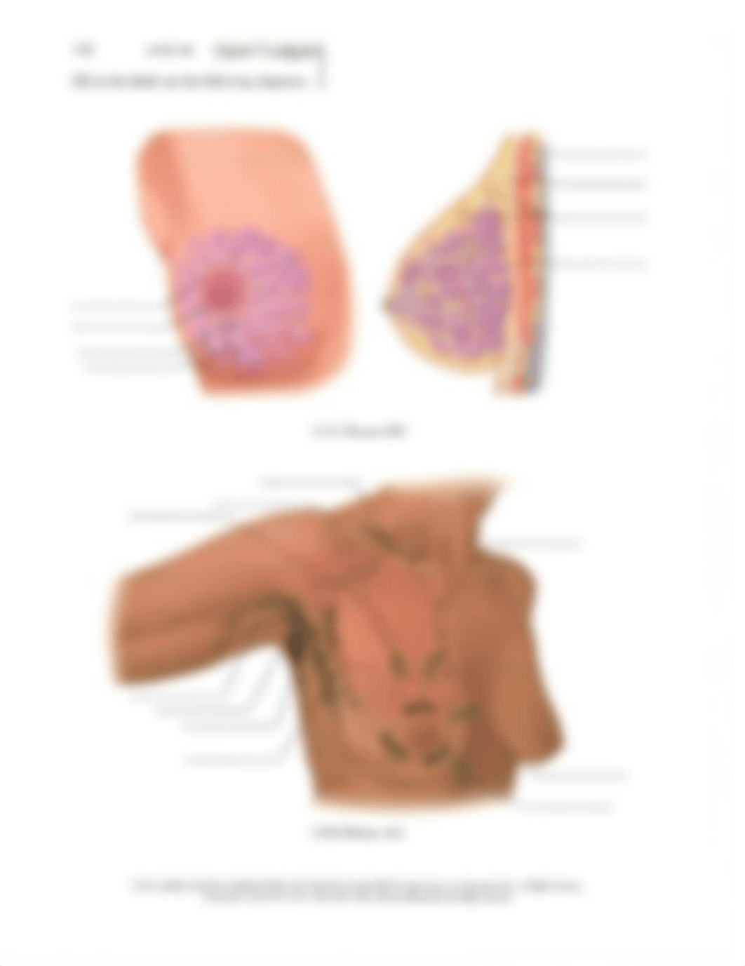 Skills Lab 5 Breast Sp 2021.docx_dehq7q17fix_page3