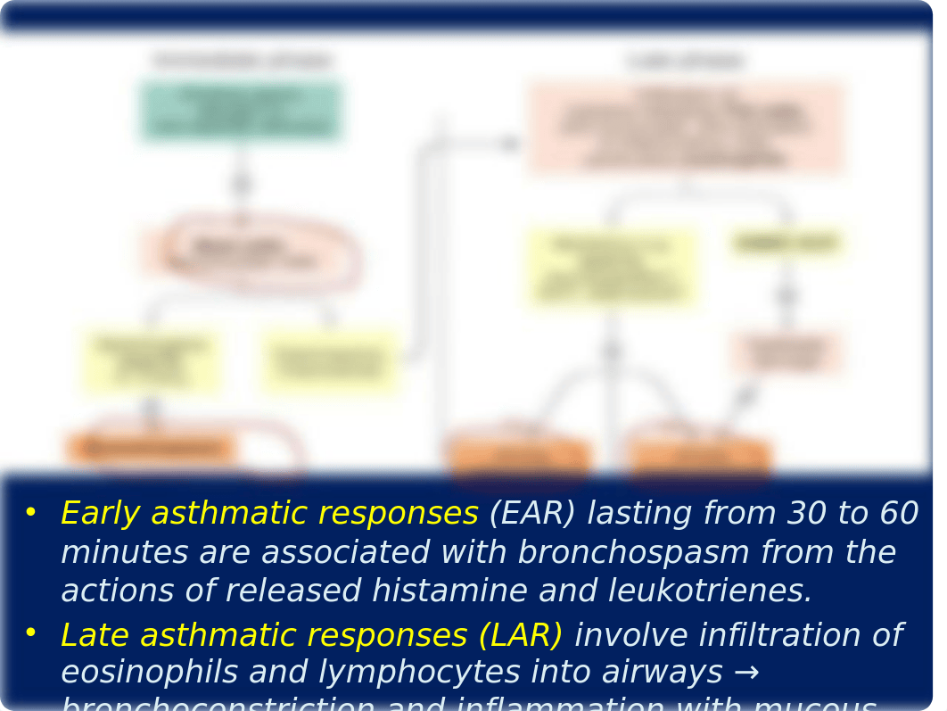 5 Bronchial Asthma.pptx_dehvt4my9wv_page4