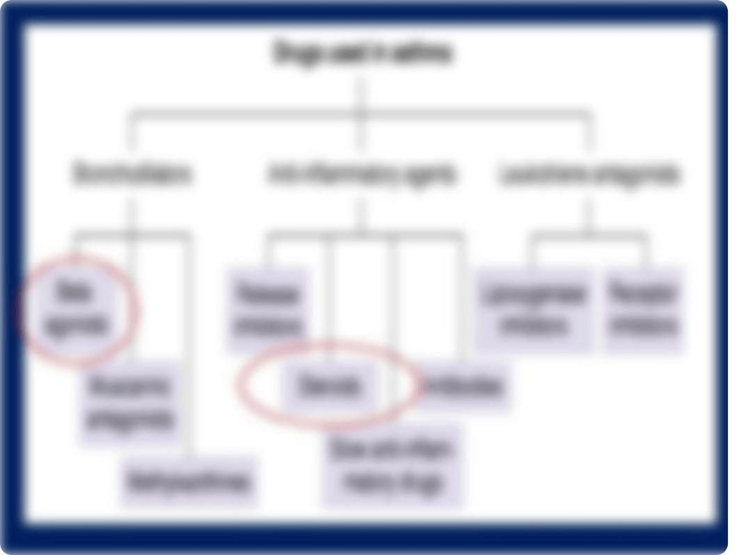 5 Bronchial Asthma.pptx_dehvt4my9wv_page5