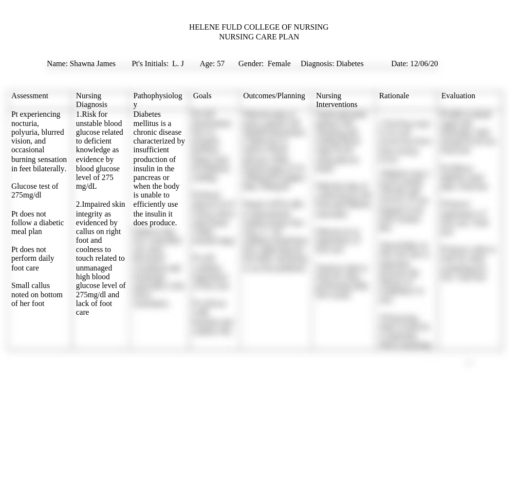 Care Plan 2 NU221.docx_dehy048lirh_page1