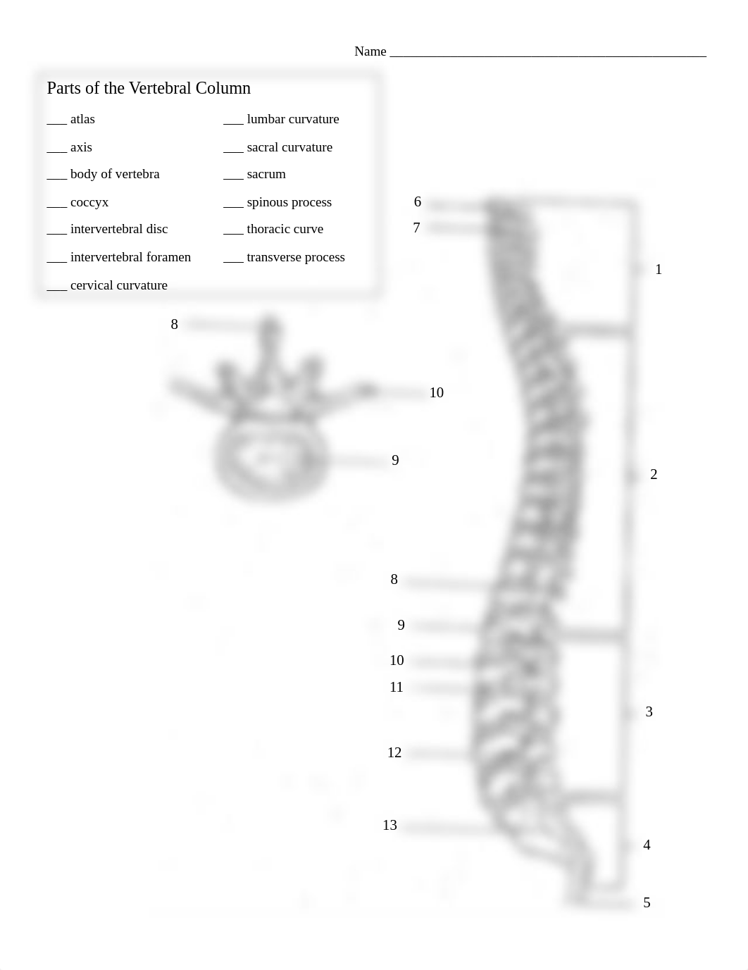 skeletal system worksheet.pdf_dei06aul7cs_page4