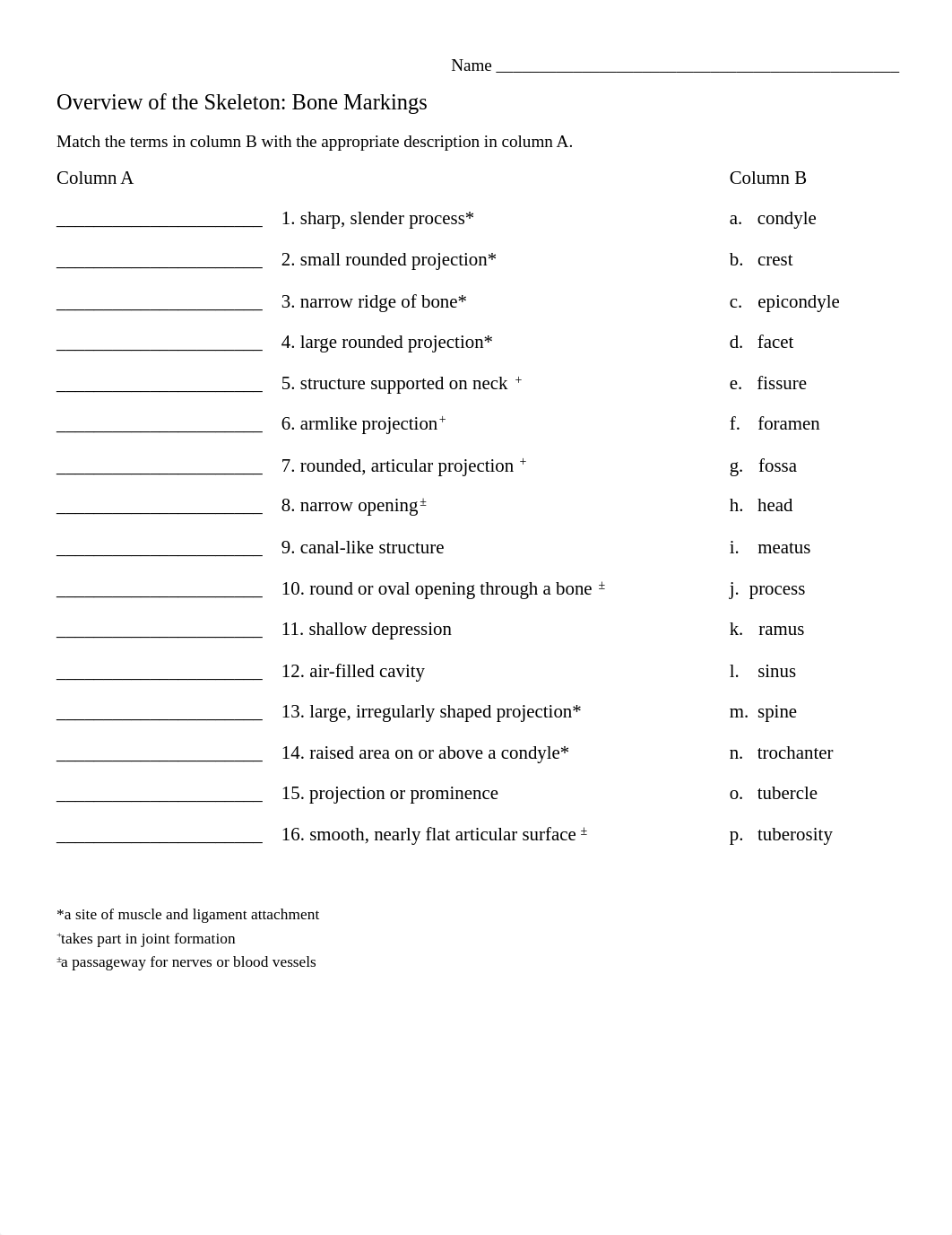 skeletal system worksheet.pdf_dei06aul7cs_page1