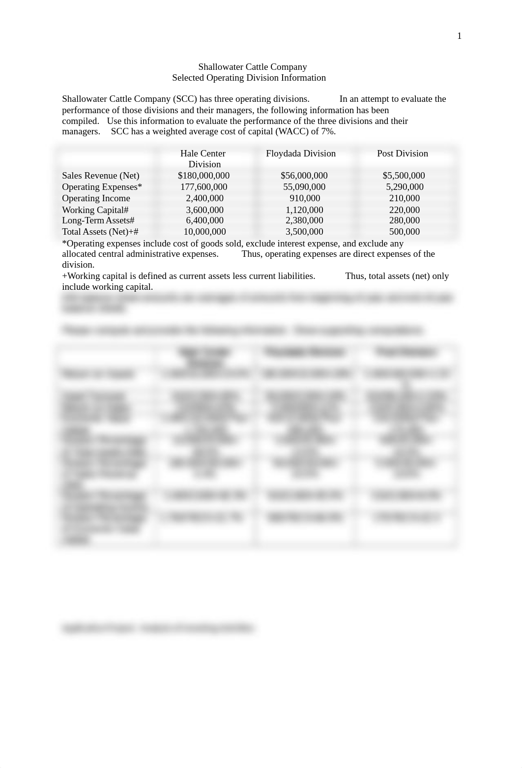 Lewis_Application Project, Analysis of Investing Activities, Shallowater Cattle Company, Information_deibp9sobae_page1