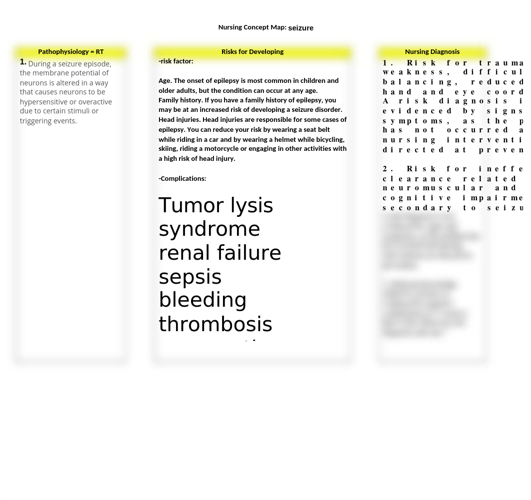 Seizure Concept Map.docx_deido2iohfg_page1