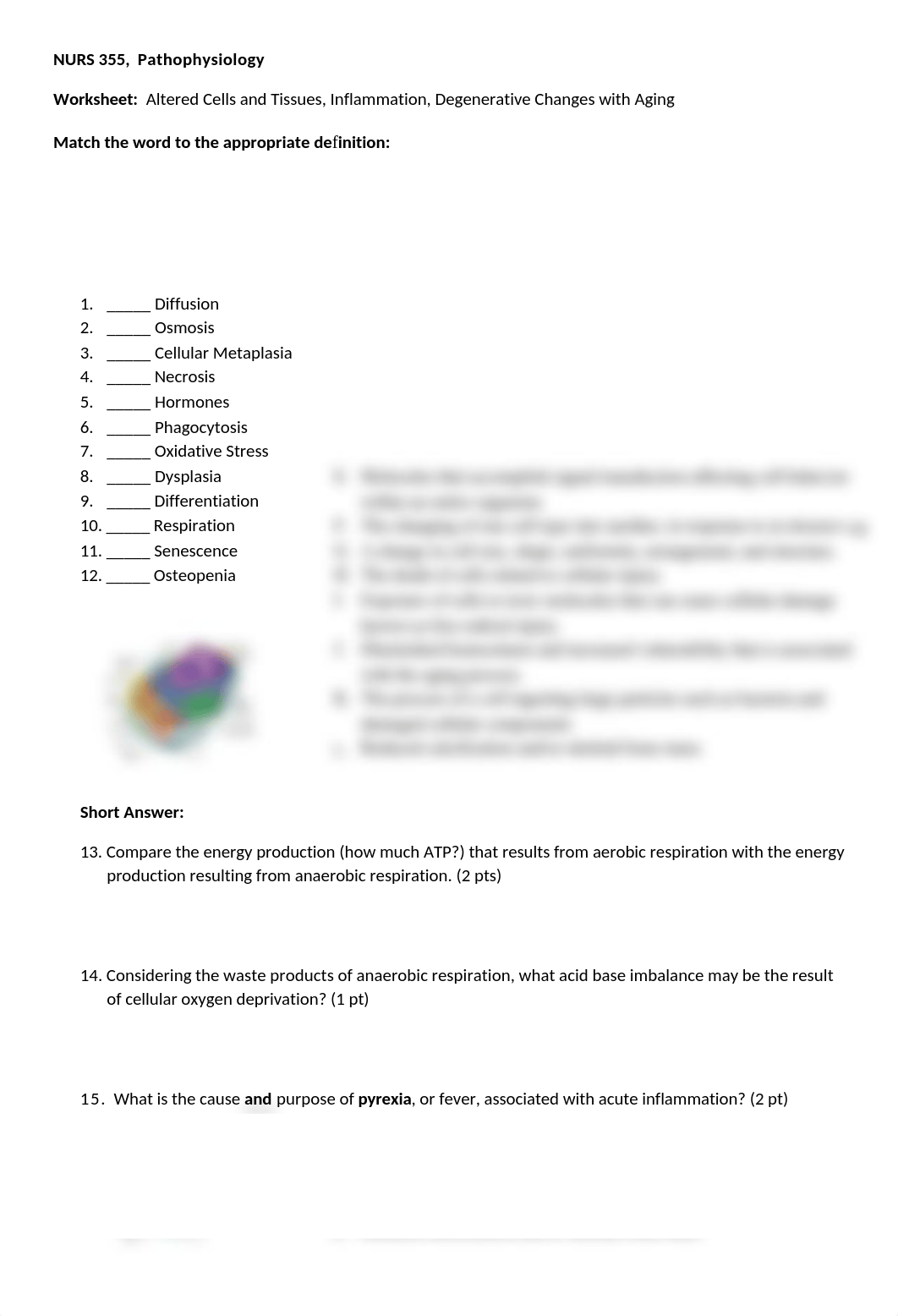 Worksheet # 1.docx_deiixgkmwzs_page1