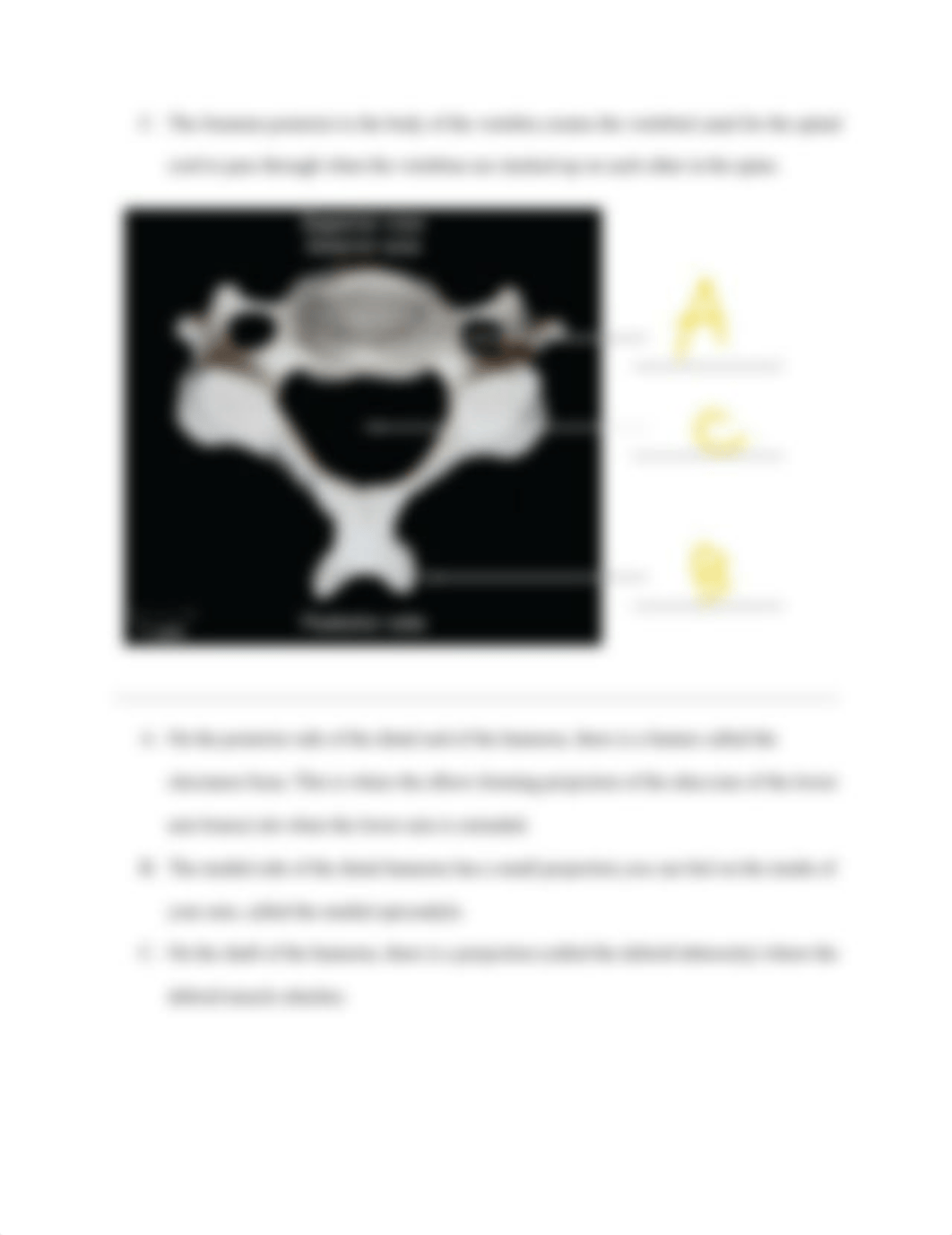 Lab 5_ Introduction to the Skeleton.pdf_deill5okztj_page4