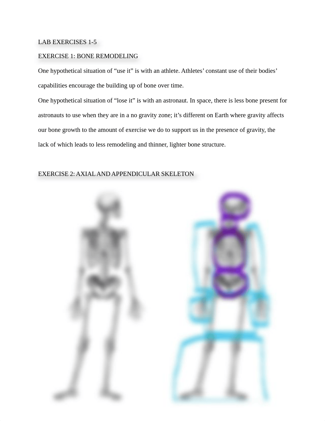 Lab 5_ Introduction to the Skeleton.pdf_deill5okztj_page2