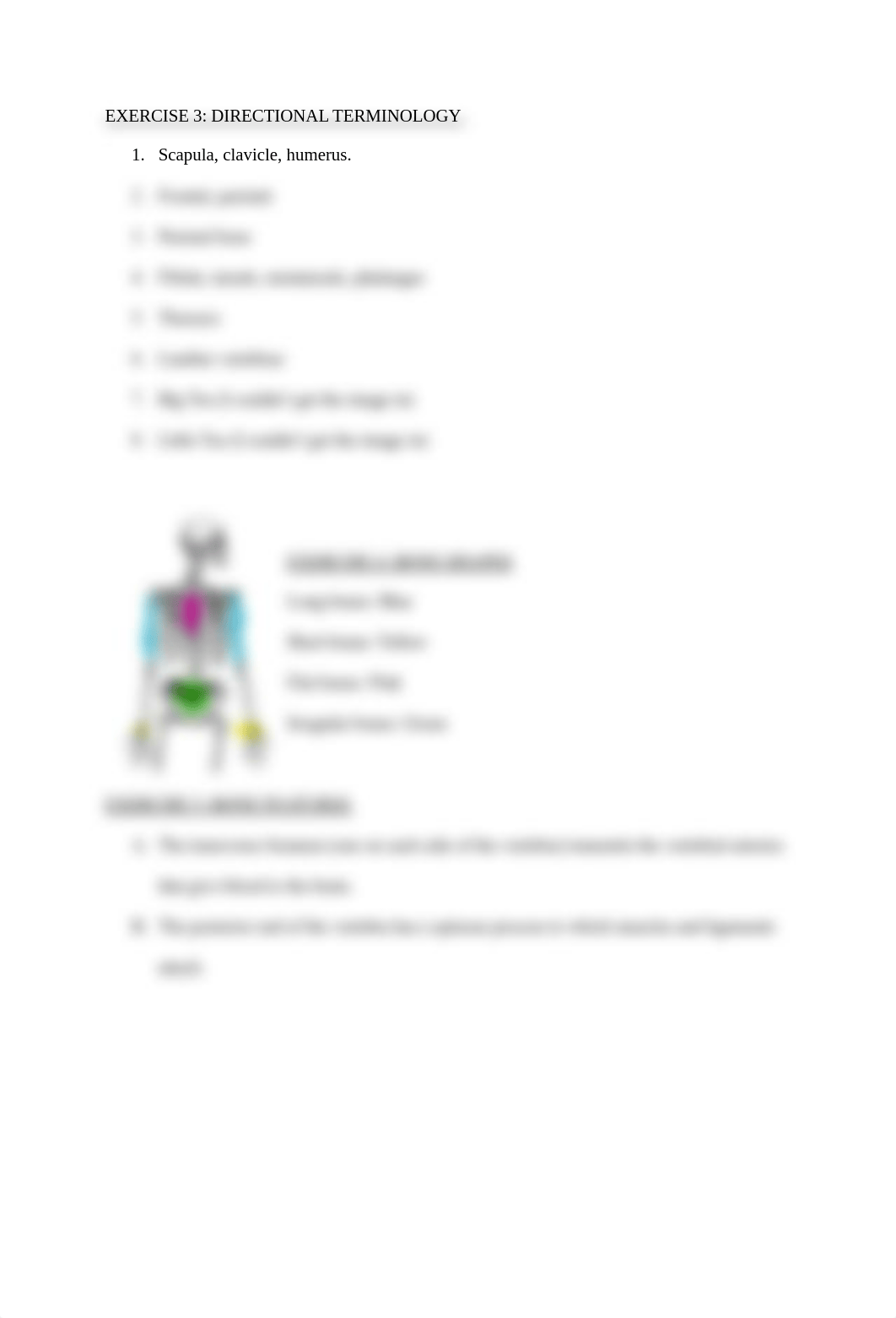 Lab 5_ Introduction to the Skeleton.pdf_deill5okztj_page3