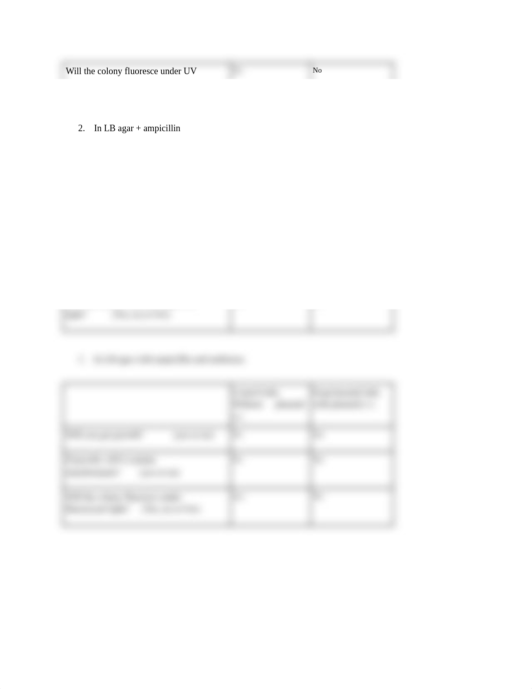 Transformation Lab Handout-Sabrina Roth.pdf_deilua8rd48_page2