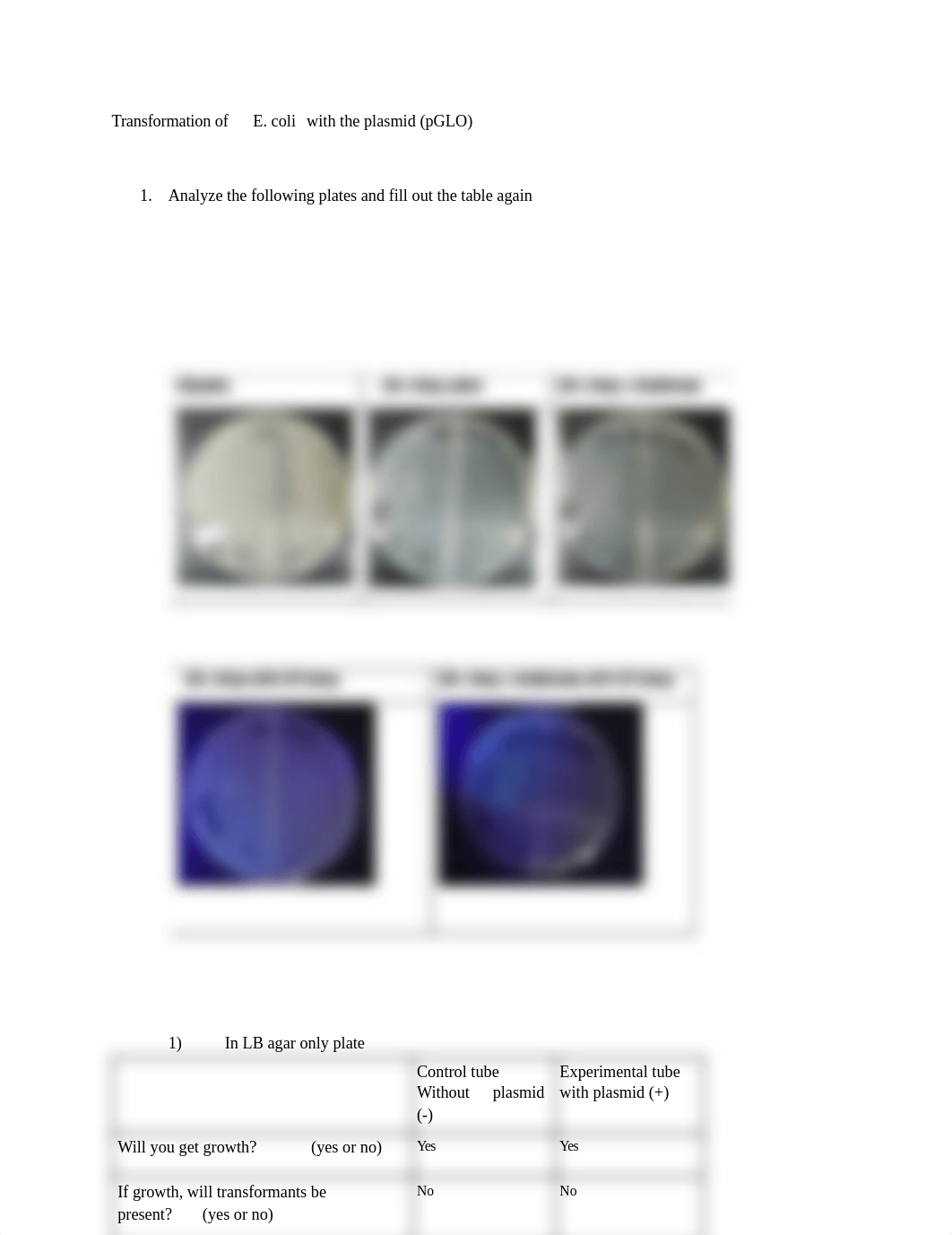 Transformation Lab Handout-Sabrina Roth.pdf_deilua8rd48_page1