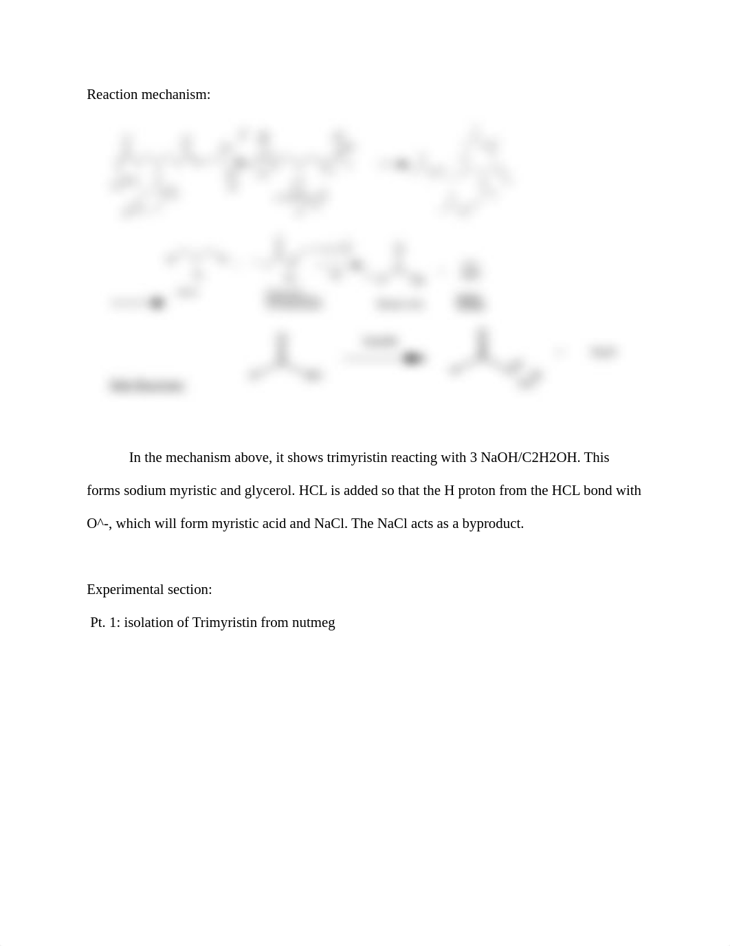 nutmeg experiment.docx_deip06ie2rq_page2