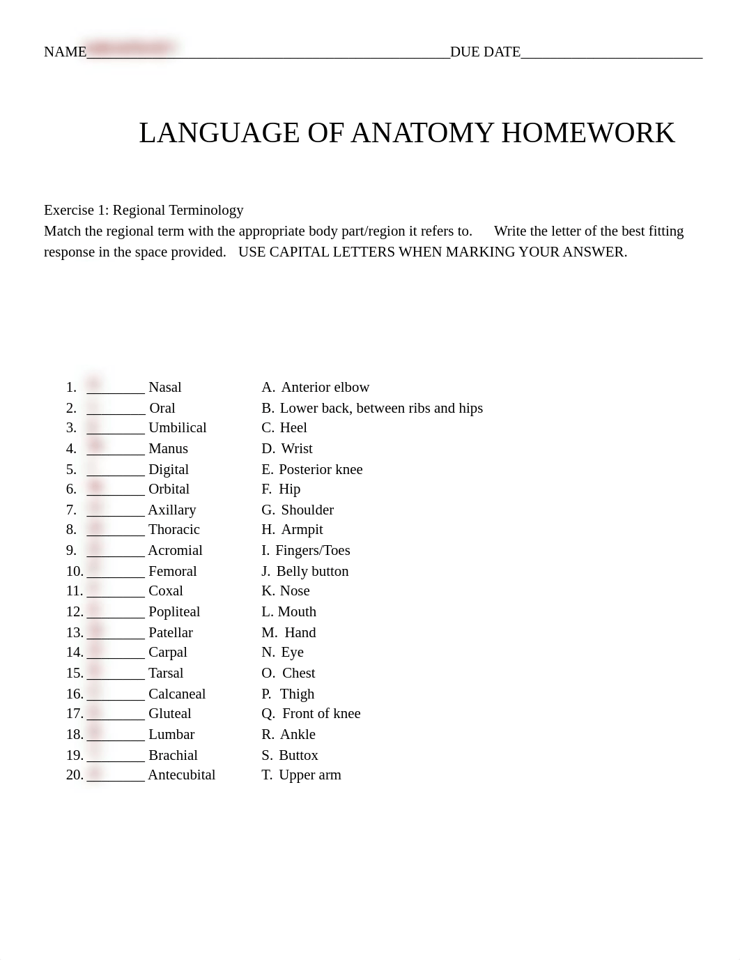 Activity CH 1 - Language of Anatomy ANSWER KEY.pdf_deipsjicq2h_page1