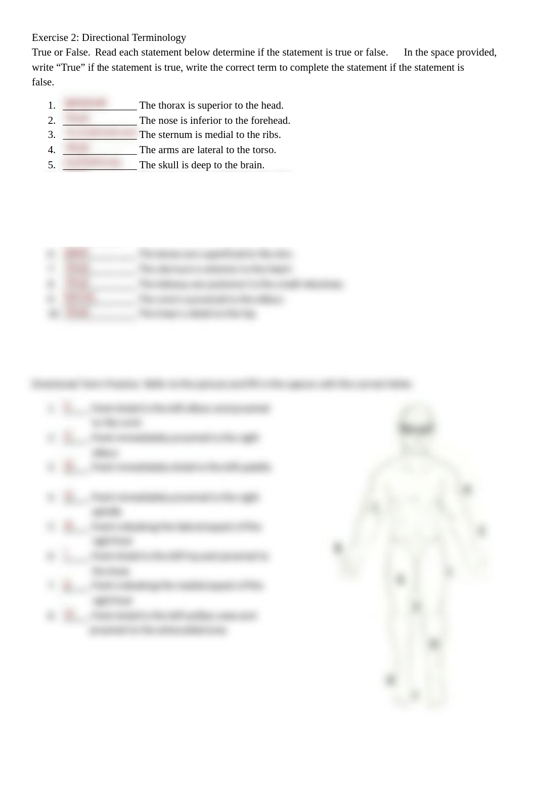 Activity CH 1 - Language of Anatomy ANSWER KEY.pdf_deipsjicq2h_page2