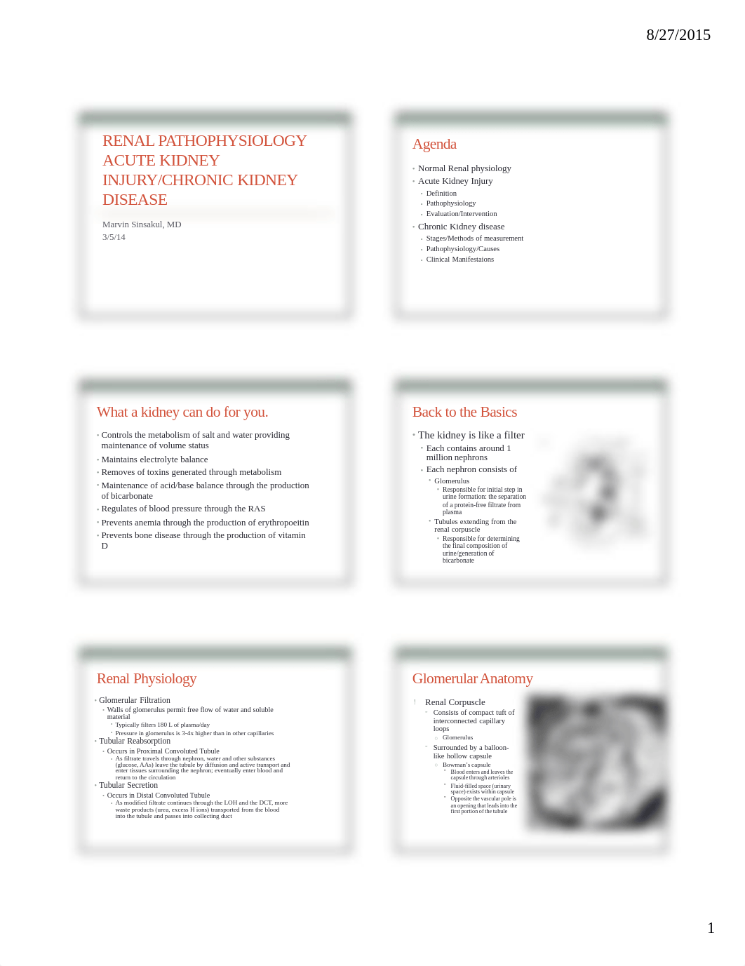 Renal Pathophysiology 6 slides per page_deiypfxmkox_page1