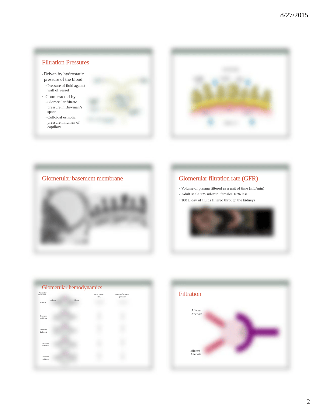 Renal Pathophysiology 6 slides per page_deiypfxmkox_page2