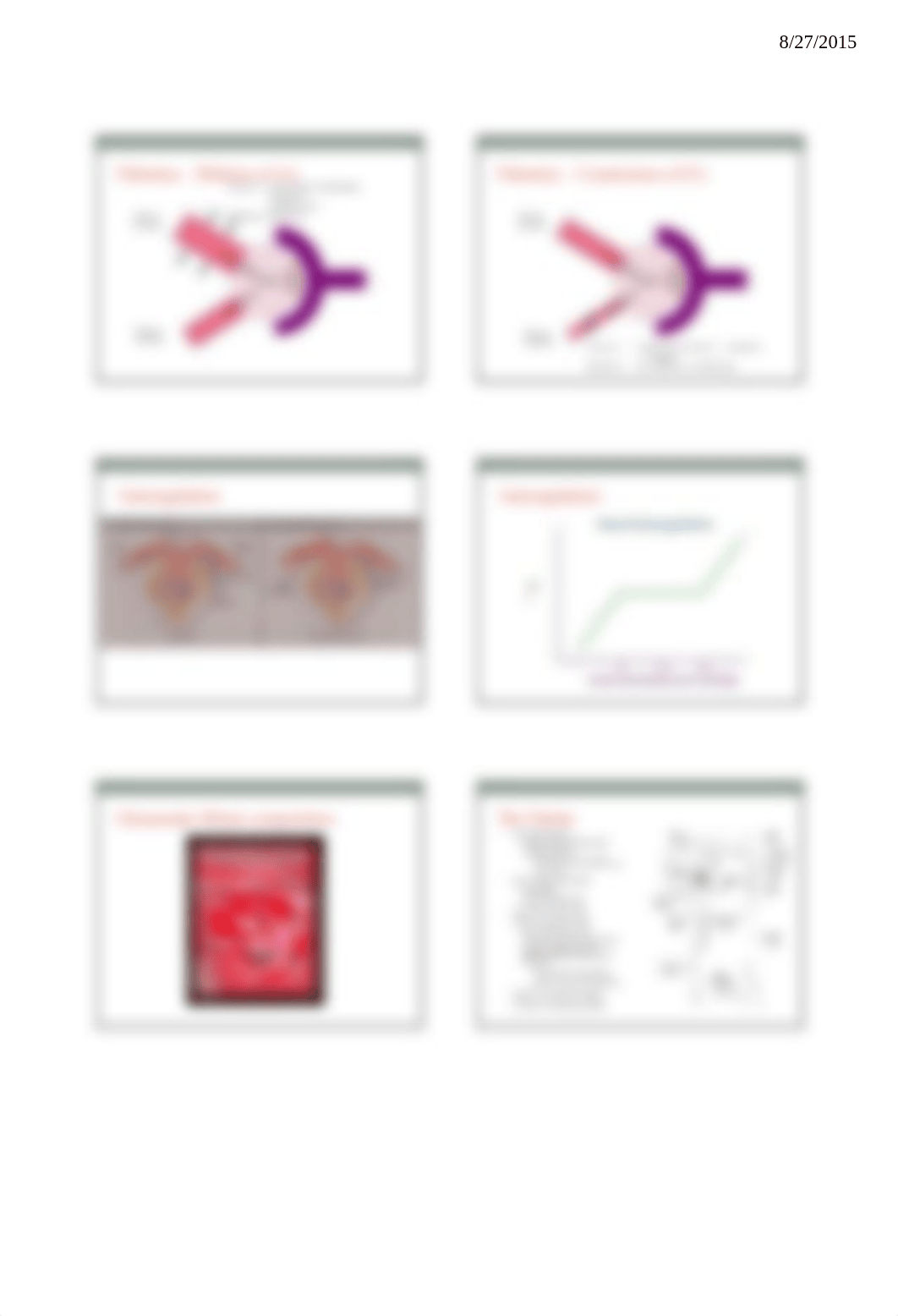 Renal Pathophysiology 6 slides per page_deiypfxmkox_page3