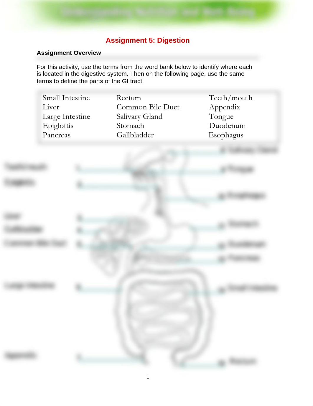 Student_Assignment 5_Digestion Worksheet-1.pdf_deizpb6qwj3_page1