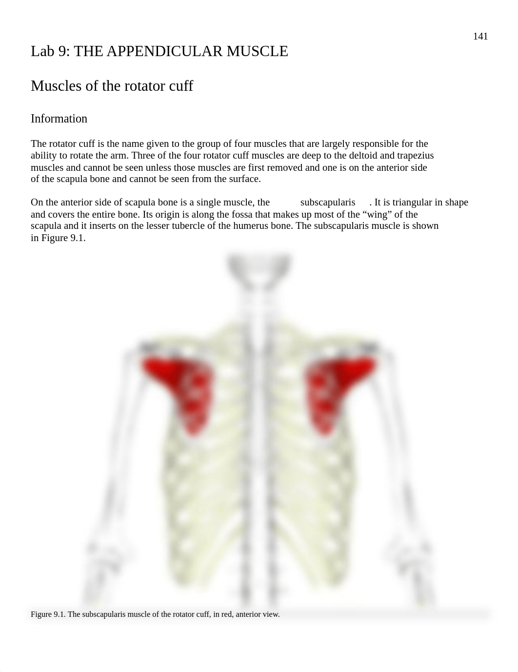 9 Appendicular Muscles.pdf_dej1a3s7oor_page1