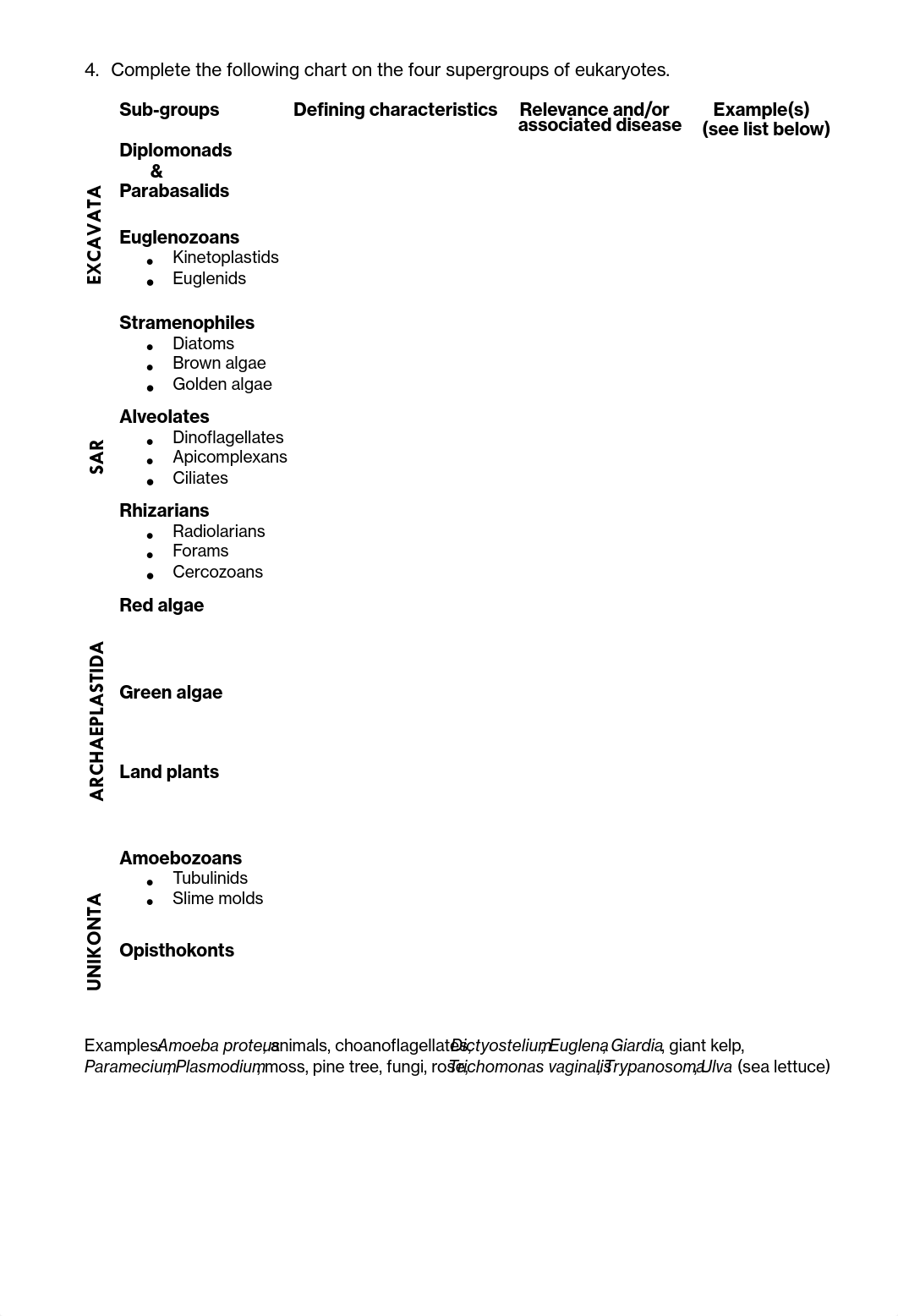 Chapter+23+Worksheet.pdf_dej3dhypule_page2