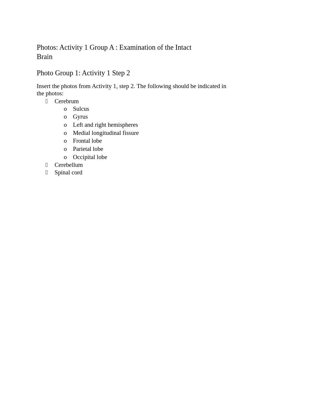 Nervous System Anatomy of the Brain Lab Report.docx_dej457tj79p_page2