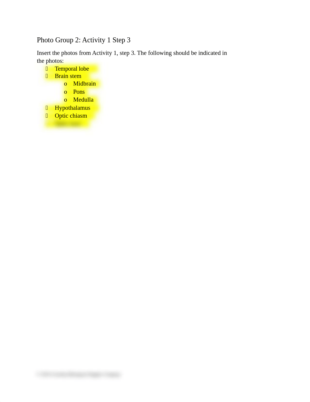 Nervous System Anatomy of the Brain Lab Report.docx_dej457tj79p_page5