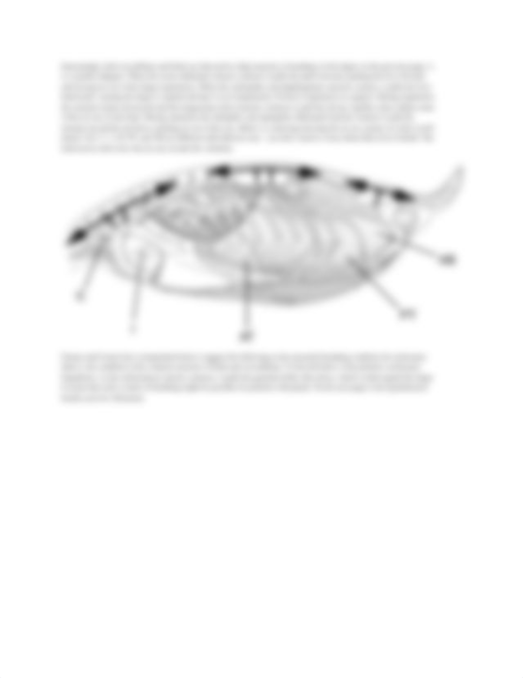 Dinosaur Metabolism Lab.pdf_dej5w5rcj8w_page3