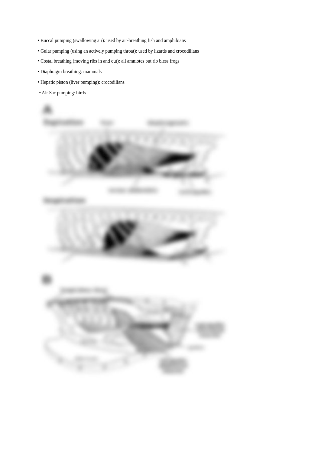 Dinosaur Metabolism Lab.pdf_dej5w5rcj8w_page2