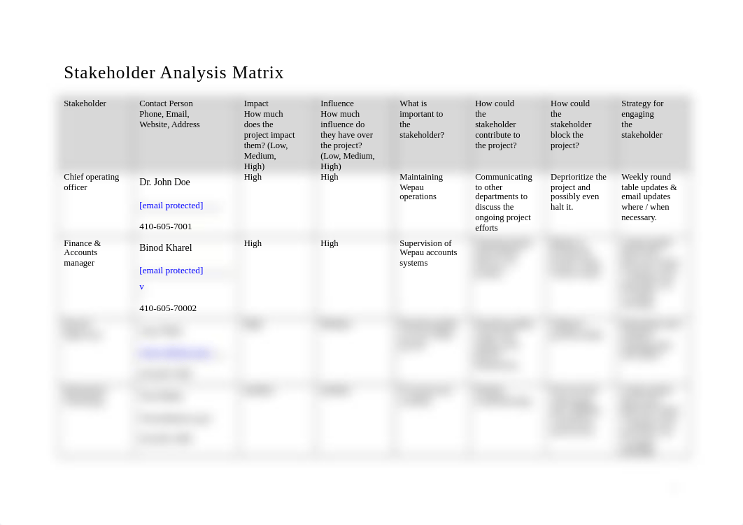 Stakeholder-Analysis-Matrix-wepau.docx_dej6jetwogp_page1