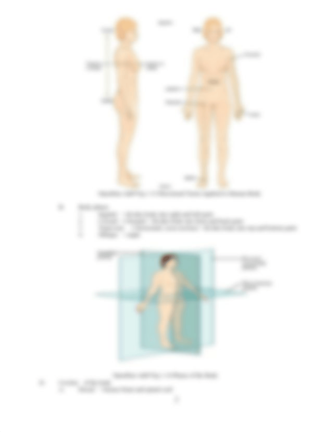 Organ System Lab (1).docx_dej8vag46jt_page2