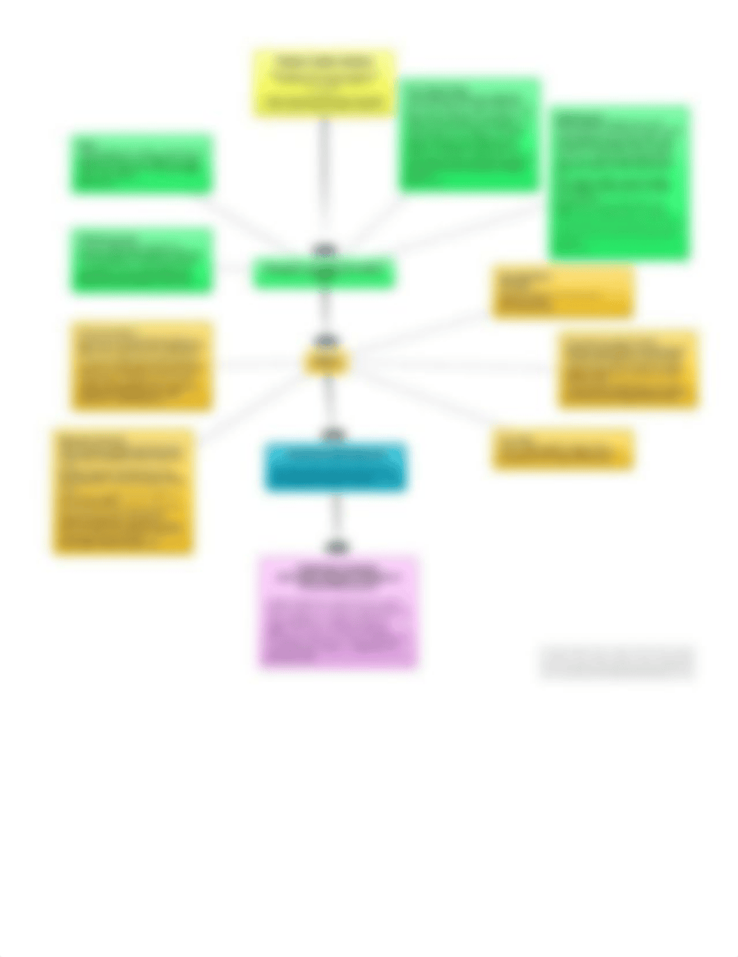 NUR510_Brune_R_ConceptMap2.docx_deja1hrdjbc_page1