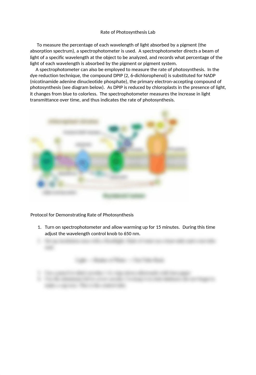 RATE OF PHOTOSYNTHESIS LAB-1.docx_deji26p8vwy_page1