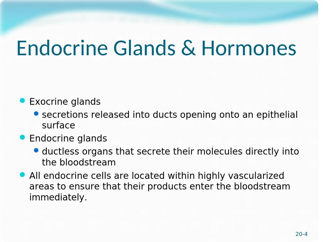 endocrine 111A_dejk82lk1xc_page4