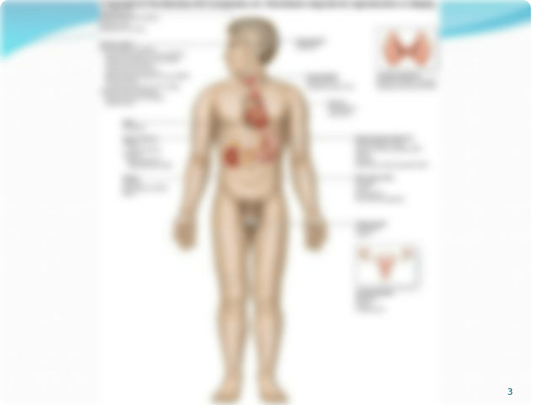 endocrine 111A_dejk82lk1xc_page3