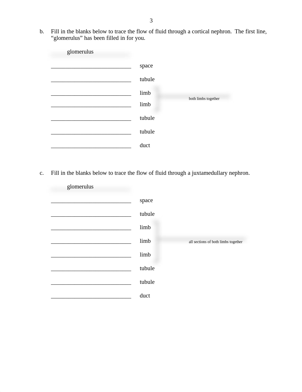 Revised Renal Anatomy & Physiology Worksheet - Aug 20151.pdf_dejus5sc9l3_page3