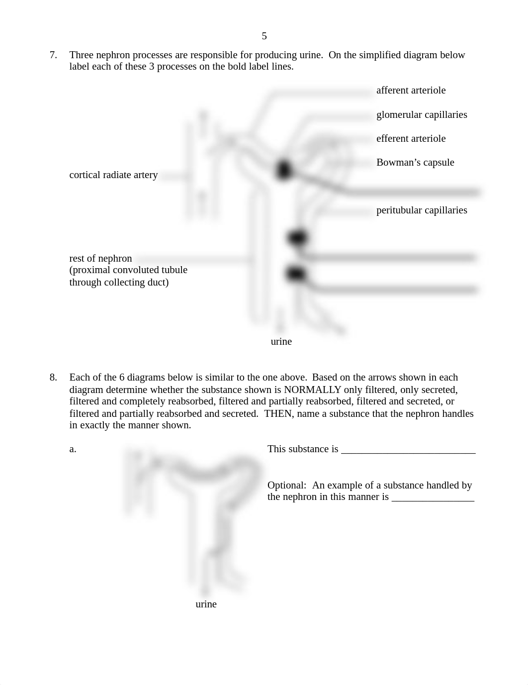 Revised Renal Anatomy & Physiology Worksheet - Aug 20151.pdf_dejus5sc9l3_page5