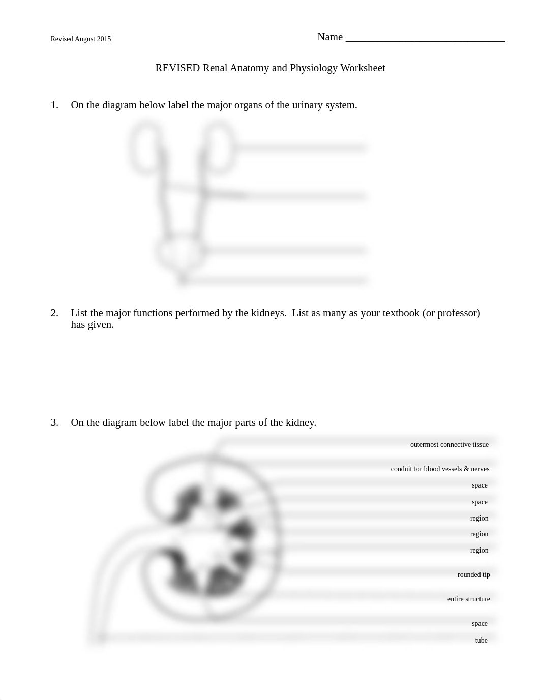 Revised Renal Anatomy & Physiology Worksheet - Aug 20151.pdf_dejus5sc9l3_page1