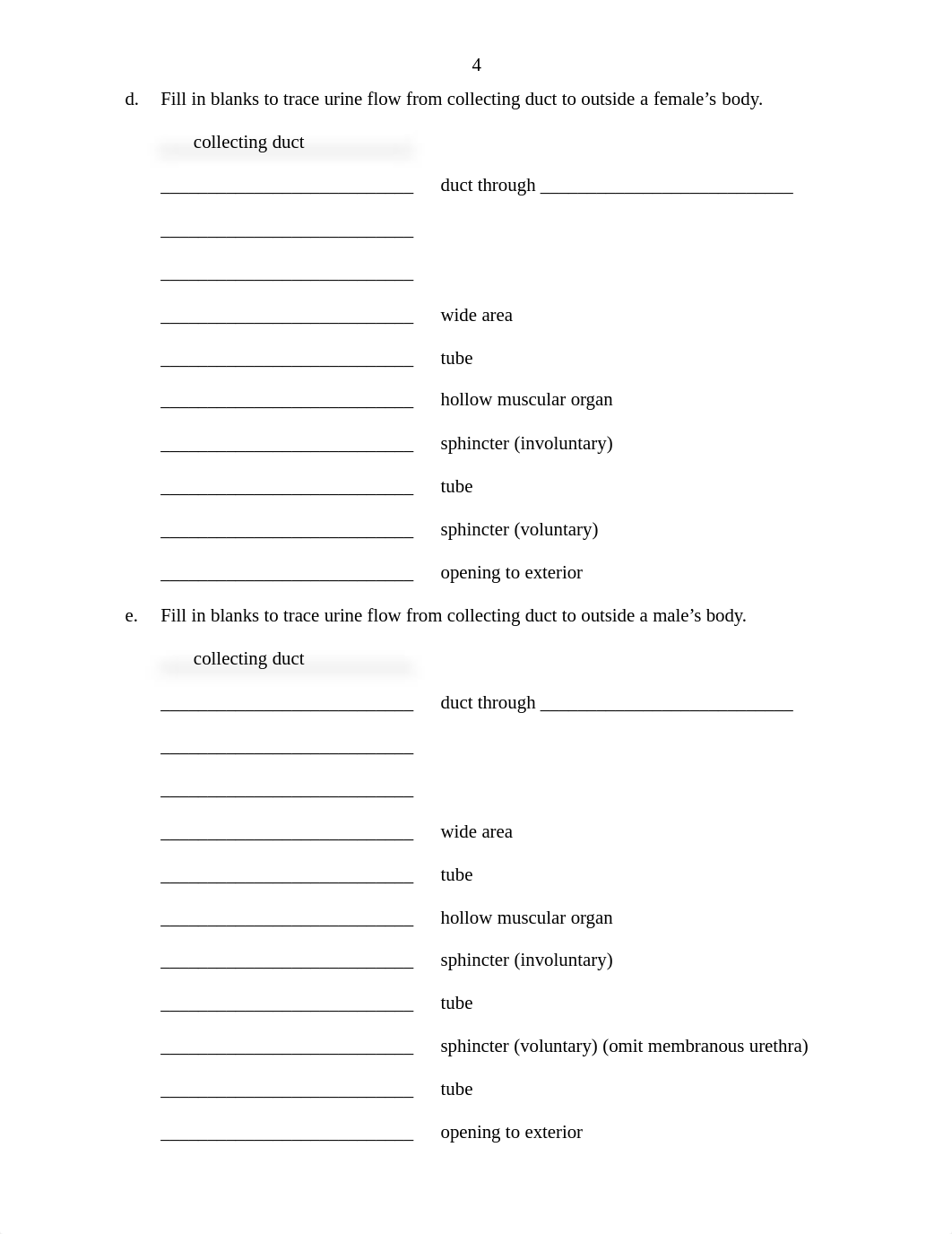 Revised Renal Anatomy & Physiology Worksheet - Aug 20151.pdf_dejus5sc9l3_page4