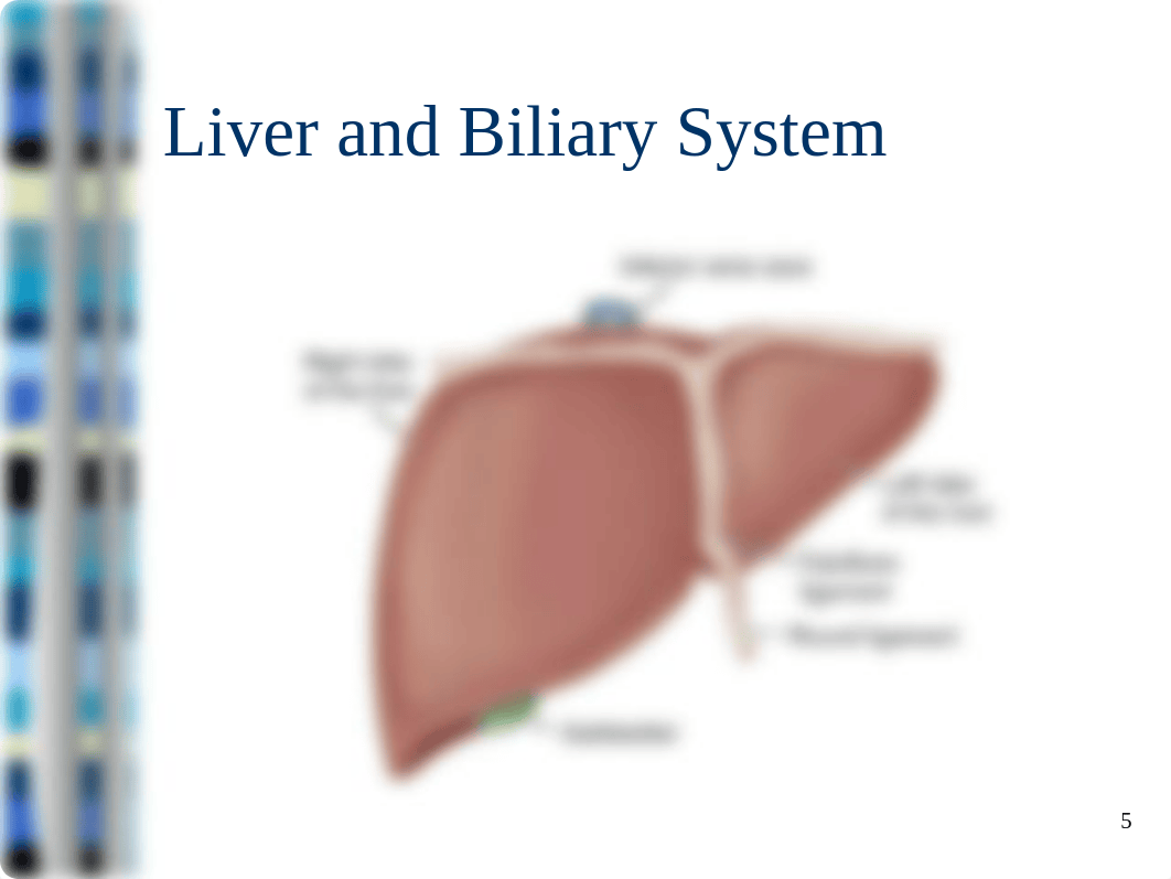 Ch 49 Hepatic & ch 50 Biliary disorders sp 18 student version.pptx_dejzxtirngb_page5