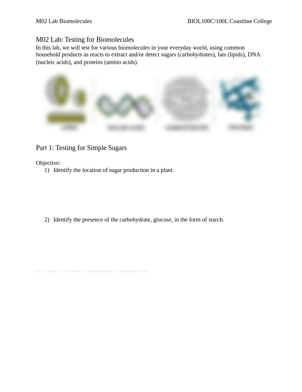 M02 Lab Biomolecules-2.docx_dek0tnvctsq_page1