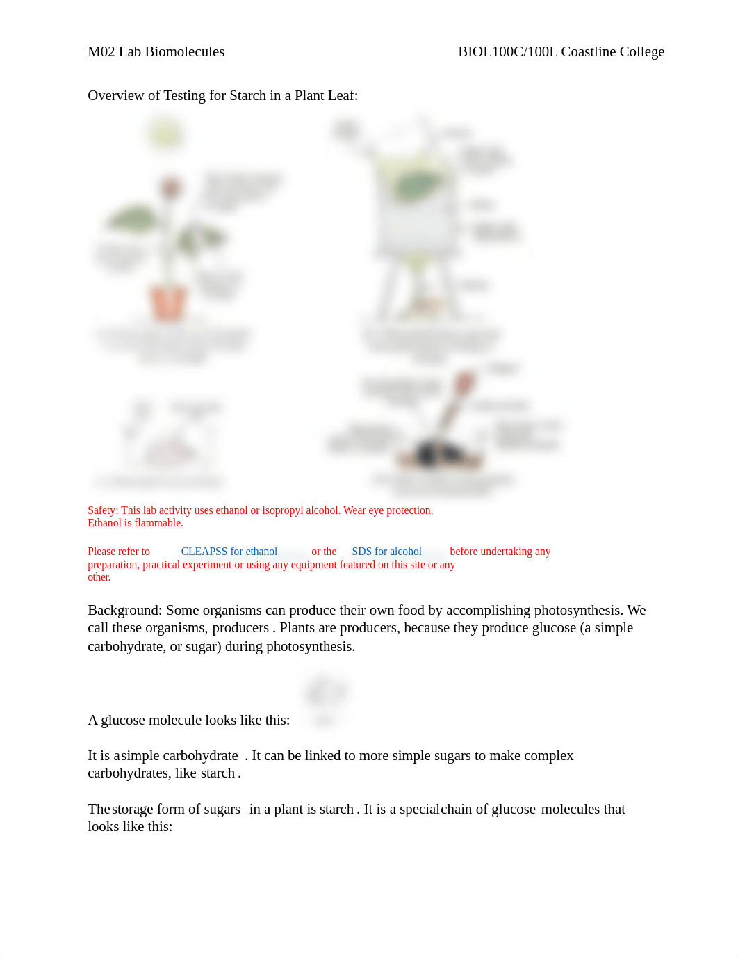 M02 Lab Biomolecules-2.docx_dek0tnvctsq_page2